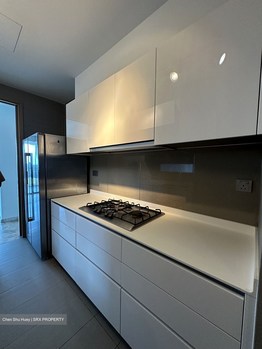 Skyline Residences (D4), Condominium #501722101